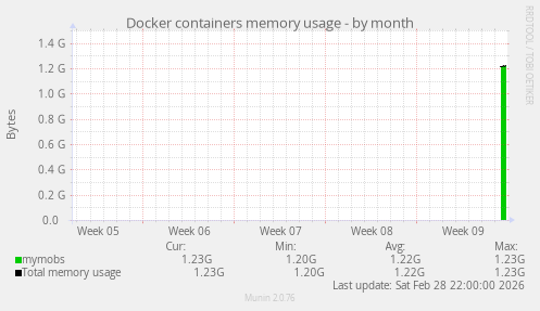 Docker containers memory usage