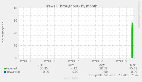 Firewall Throughput