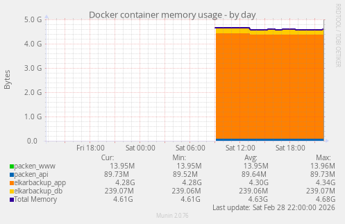 Docker container memory usage