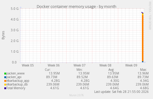 Docker container memory usage